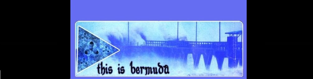 this-is-bermuda